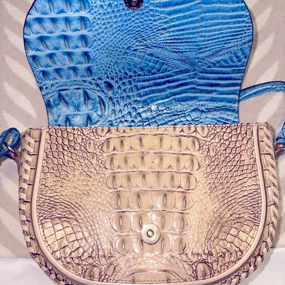 Brahmin Ella - Picture 3 of 7